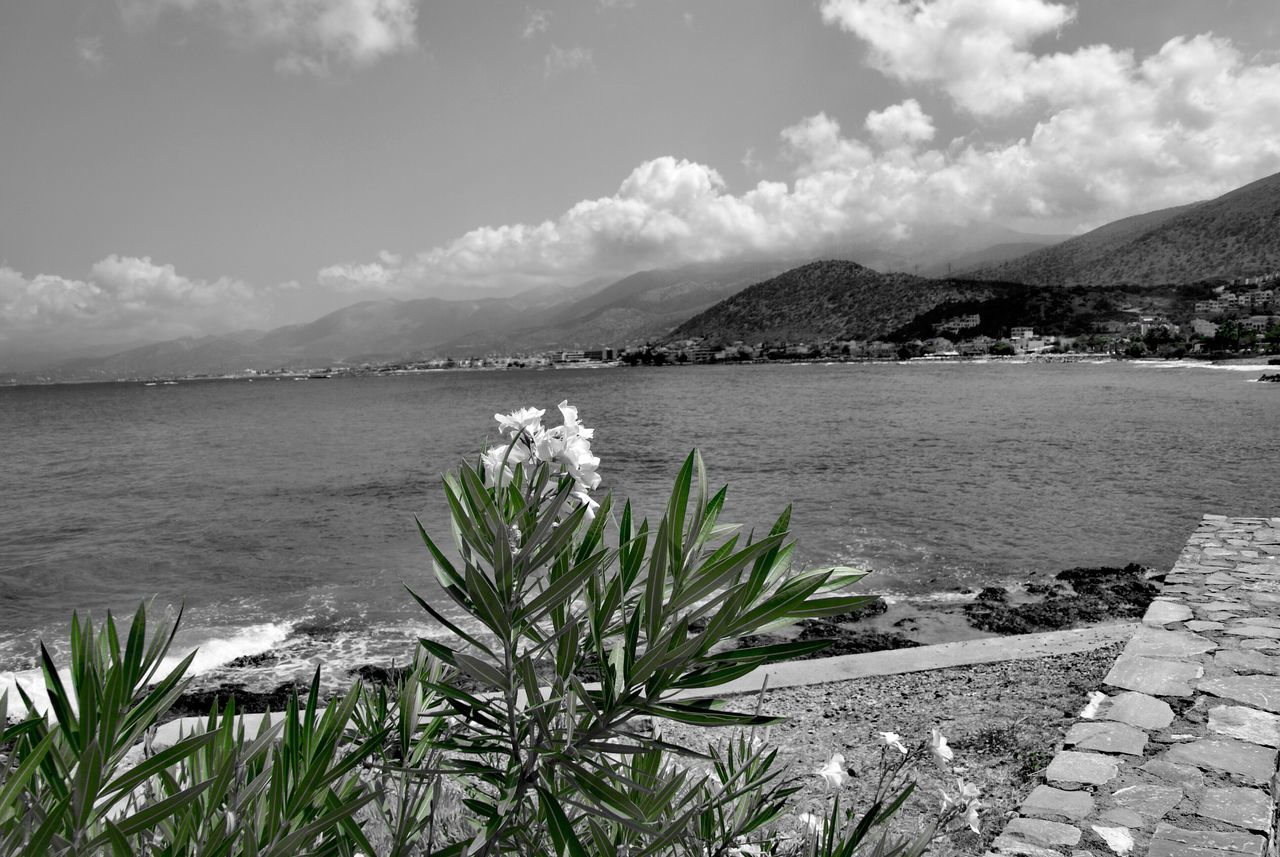 nature, beauty in nature, water, mountain, sky, scenics, tranquility, outdoors, tranquil scene, day, plant, sea, cloud - sky, no people