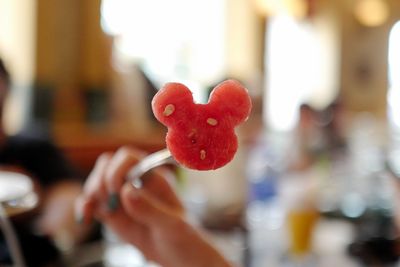 Close-up of hand holding red heart