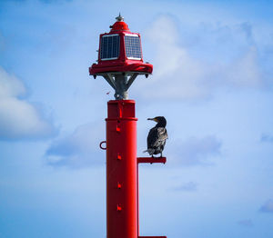 Low angle view of bird perching on a pole against sky