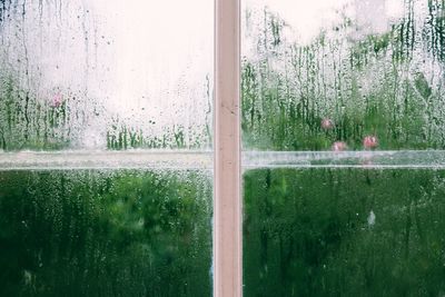 Raindrops on glass window