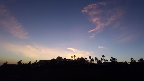 Silhouette trees against sky during sunset