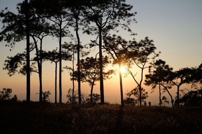 Silhouette trees on field against sky during sunset