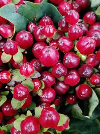 Full frame shot of strawberries