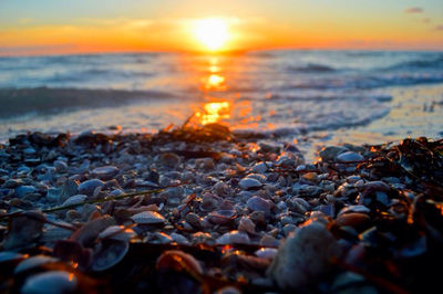 Scenic view of sea at sunset