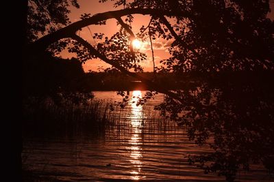 Silhouette trees by lake against sky during sunset