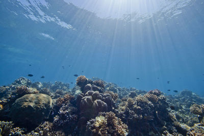 Scenic view of sea against blue sky