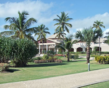 Palm trees in lawn by house against sky