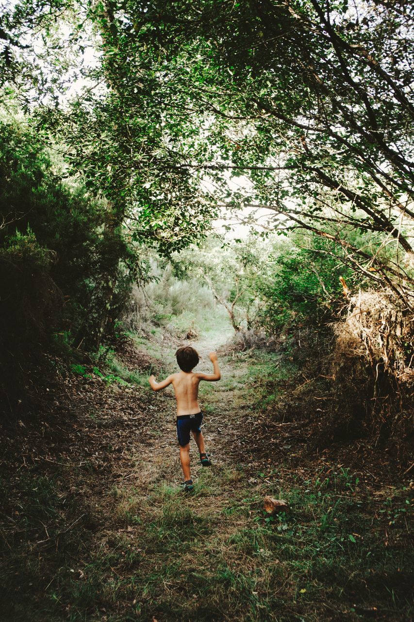 tree, one person, plant, rear view, real people, land, forest, full length, shirtless, nature, leisure activity, day, growth, standing, boys, lifestyles, men, childhood, child, outdoors, human arm, shorts