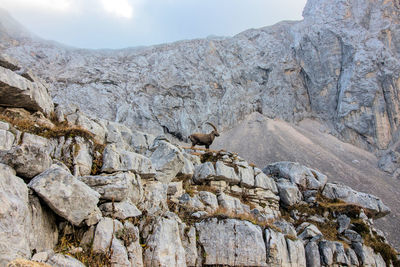 Rock formation on mountain against sky