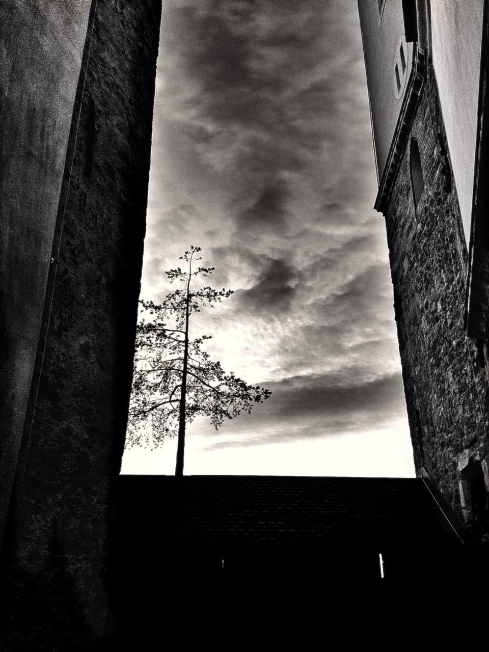 architecture, built structure, sky, building exterior, low angle view, silhouette, cloud - sky, tree, cloud, house, bare tree, cloudy, building, window, outdoors, day, no people, nature, residential structure, old