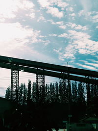 Low angle view of trees against sky