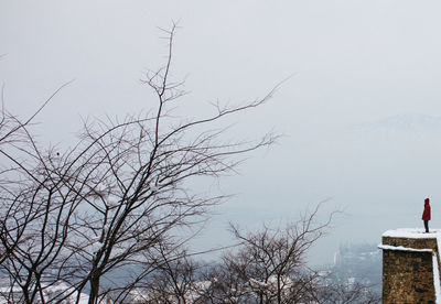 Bare tree against clear sky during winter