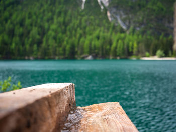 Close-up of wood by lake