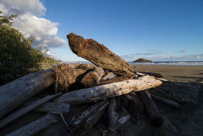 Wooden log on beach against sky