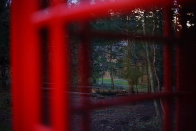 Close-up of trees