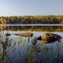 Reflection of trees in lake against sky