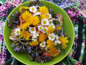 High angle view of multi colored flower pot