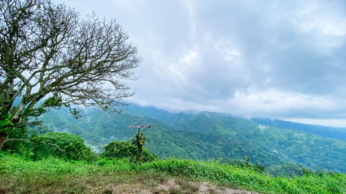 nature