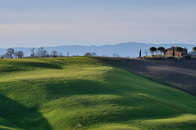 Scenic view of field against sky