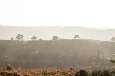 Scenic view of landscape against sky