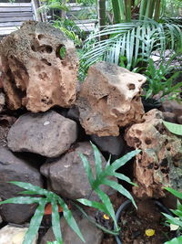 Close-up of stone stack on rock