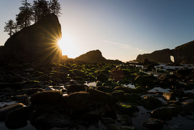 Evening sun on tide pool in pacific ocean with sea stacks looming