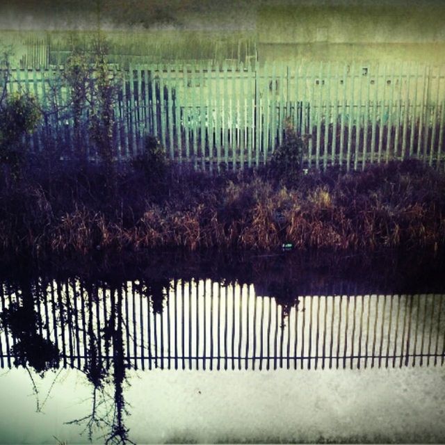 fence, water, protection, safety, tranquility, nature, field, security, plant, growth, chainlink fence, outdoors, day, metal, no people, tranquil scene, sky, tree, grass, wet