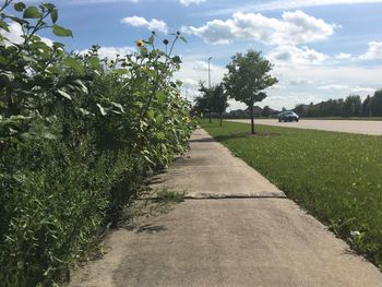 Road amidst trees on field against sky