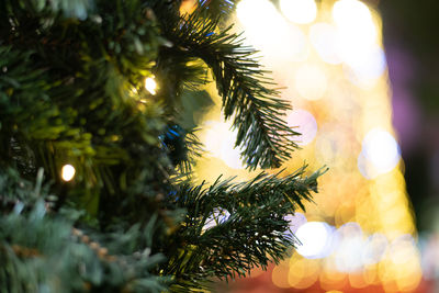 Selective focus christmas tree with bokeh of gold light at background