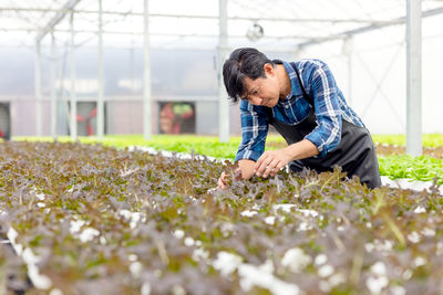 Man working in greenhouse