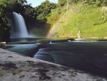 Scenic view of waterfall in forest