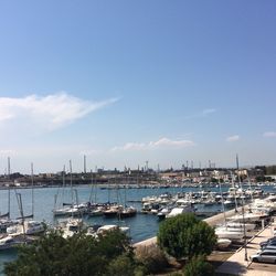 Boats in harbor