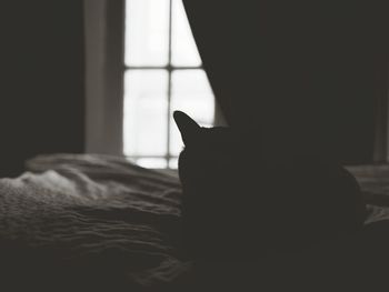 Cat relaxing on bed