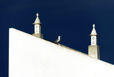 Low angle view of bird perched on white wall