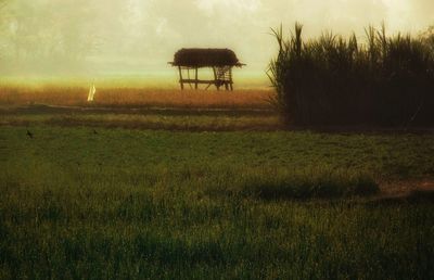 Scenic view of field against sky at sunset