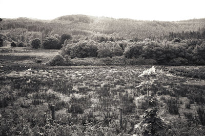 High angle view of trees on field against sky