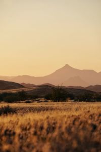 Scenic view of landscape against clear sky during sunset