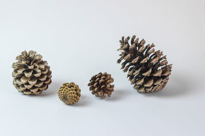 High angle view of pine cone against white background