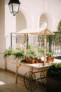 Potted plant on table against building