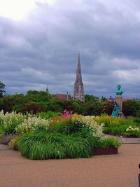 Plants against cloudy sky