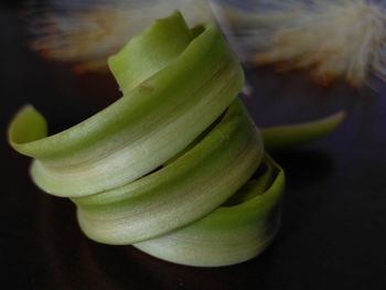 Close-up of green leaf