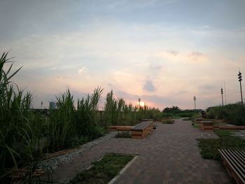 Footpath by road against sky during sunset