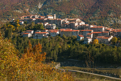 Houses and trees by buildings in city during autumn