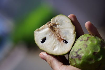 Close-up of hand holding fruit