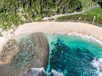 Drone view of ned's beach on lord howe island, nsw, australia. white sand beach, turquoise water.