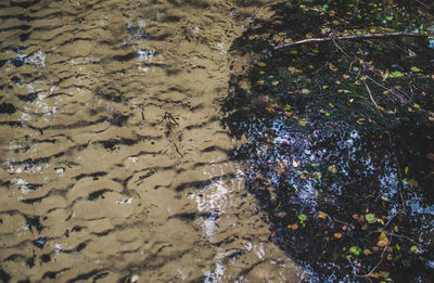 High angle view of ducks in lake