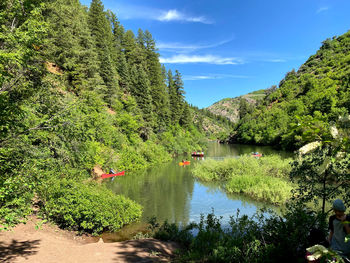 Scenic view of lake by trees against sky