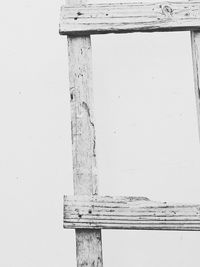 Low angle view of tree against sky