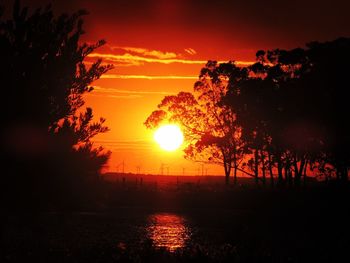 Silhouette of trees during sunset