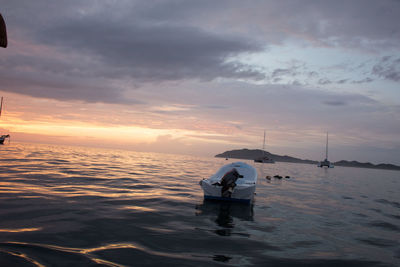 Scenic view of sea at sunset